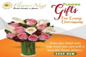 Sending Affordable Blossoms